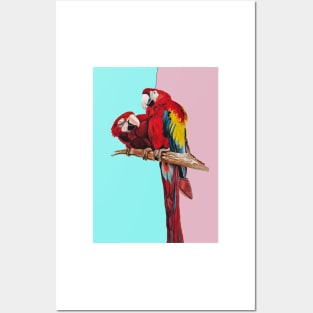 Macaw Parrot Watercolor Painting on Aqua and Pink Posters and Art